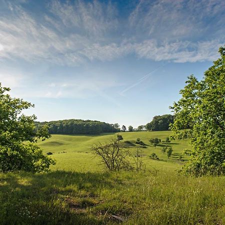 Nengshof Ferienhaus Gaensebluemchen Wißmannsdorf المظهر الخارجي الصورة