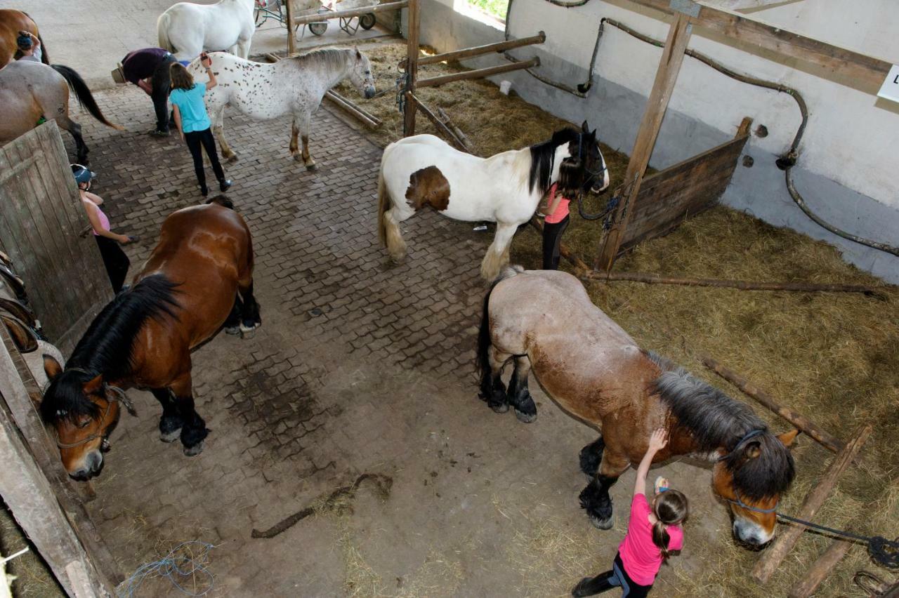 Nengshof Ferienhaus Gaensebluemchen Wißmannsdorf المظهر الخارجي الصورة